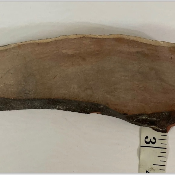 Small Polished Petrified Wood Full Slab w Bark 7 1/x 21/2” x 1/2” 10.3 oz. - Picture 3 of 5